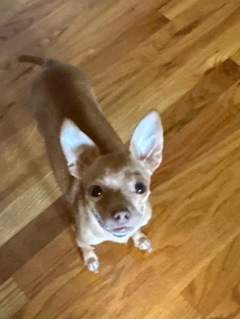 Katie thumbnail 2
