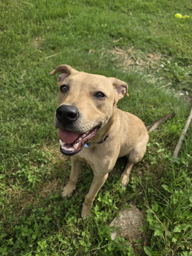 Sky And Brian thumbnail 5