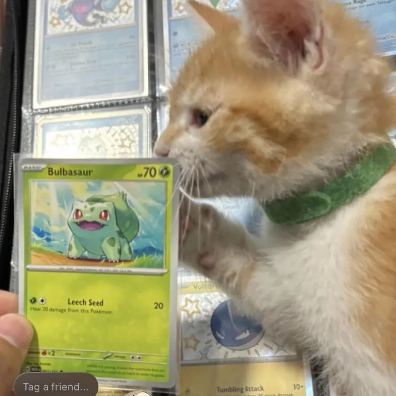 Bulbasaur thumbnail 3