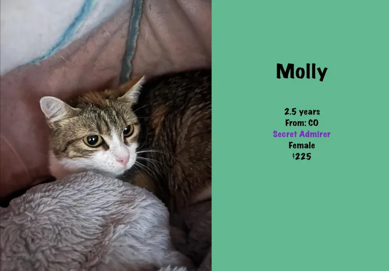 Molly