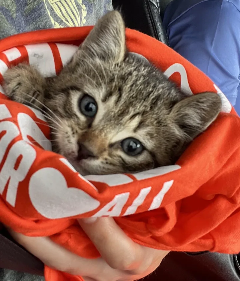 Sizzle Boots thumbnail 2