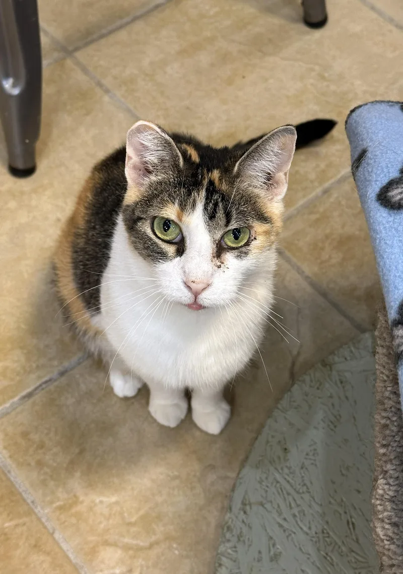 Sunshine thumbnail 4