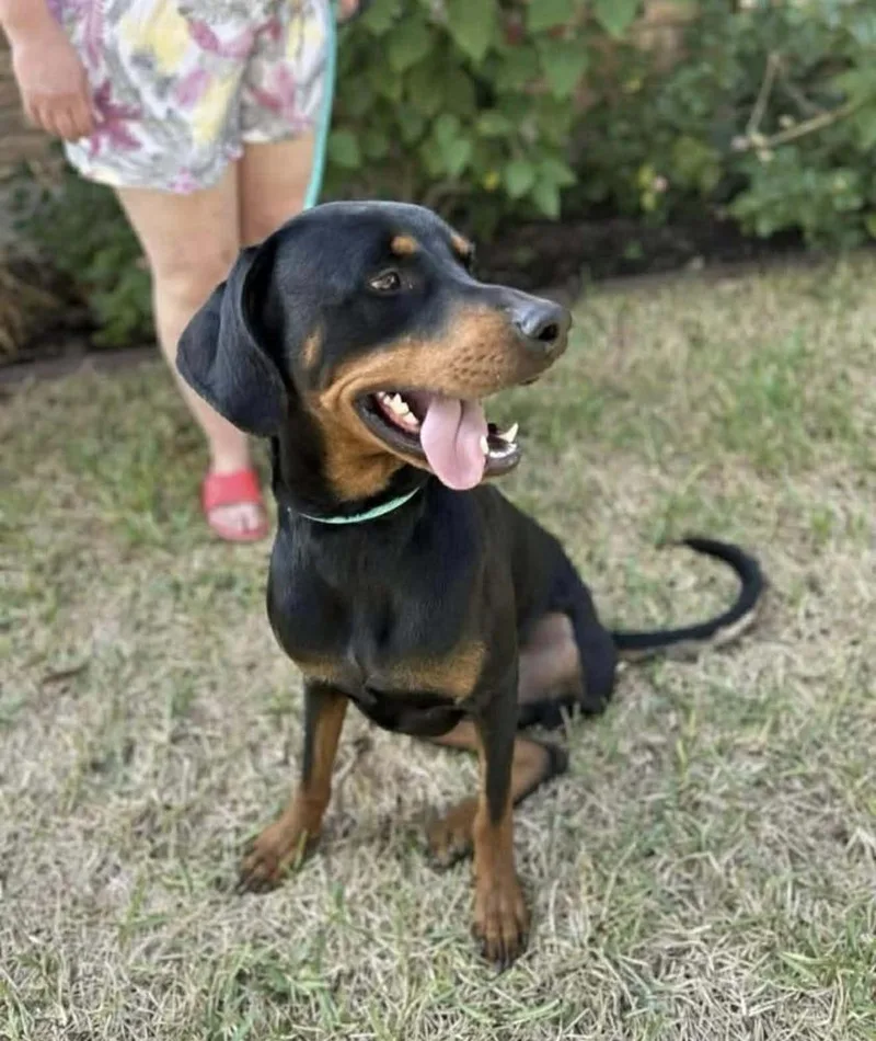 Sundance Kid thumbnail 2