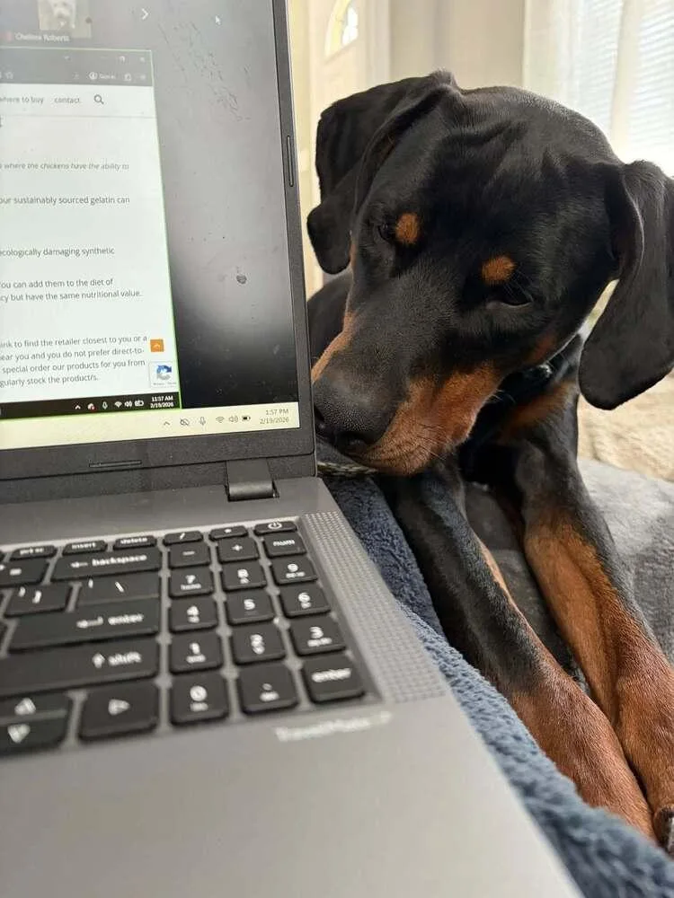 Sundance Kid thumbnail 4