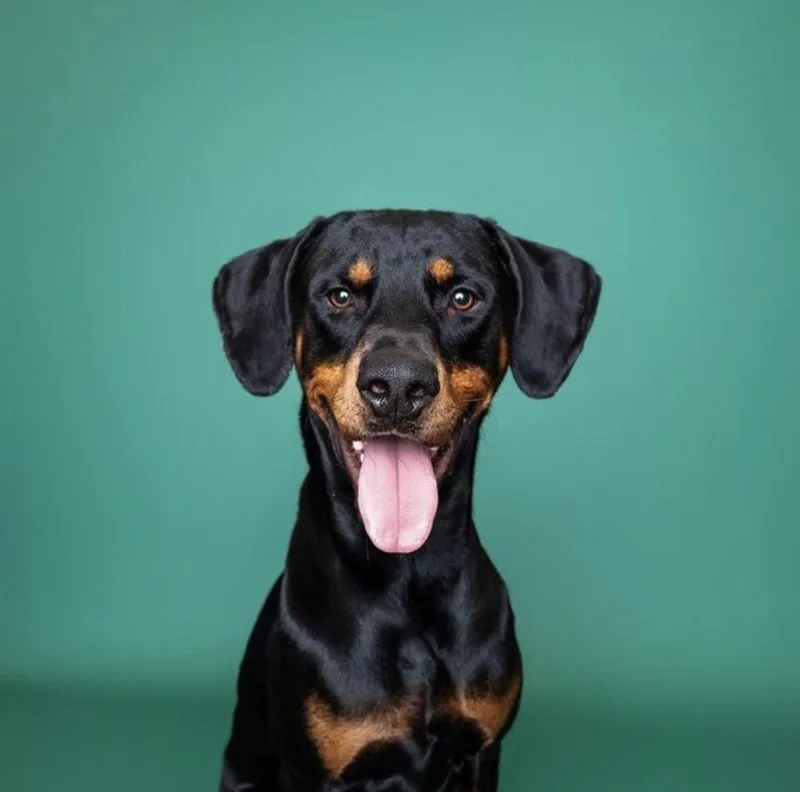 Sundance Kid thumbnail 5