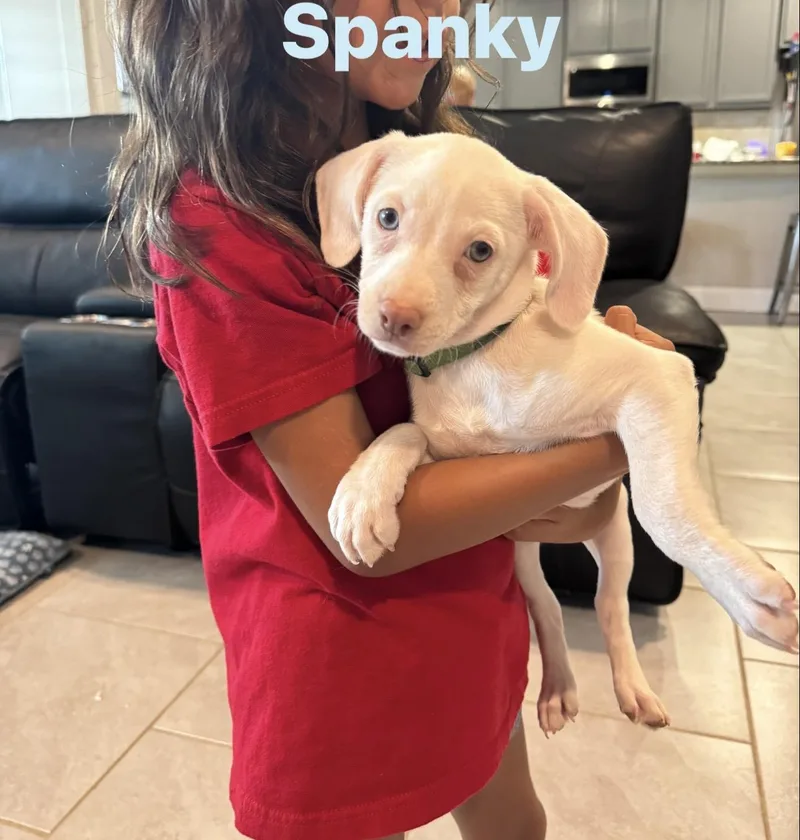 Spanky thumbnail 3
