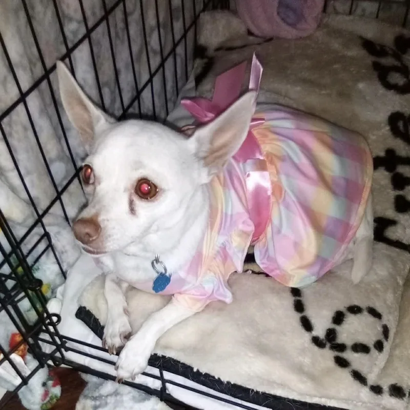 Princess thumbnail 2