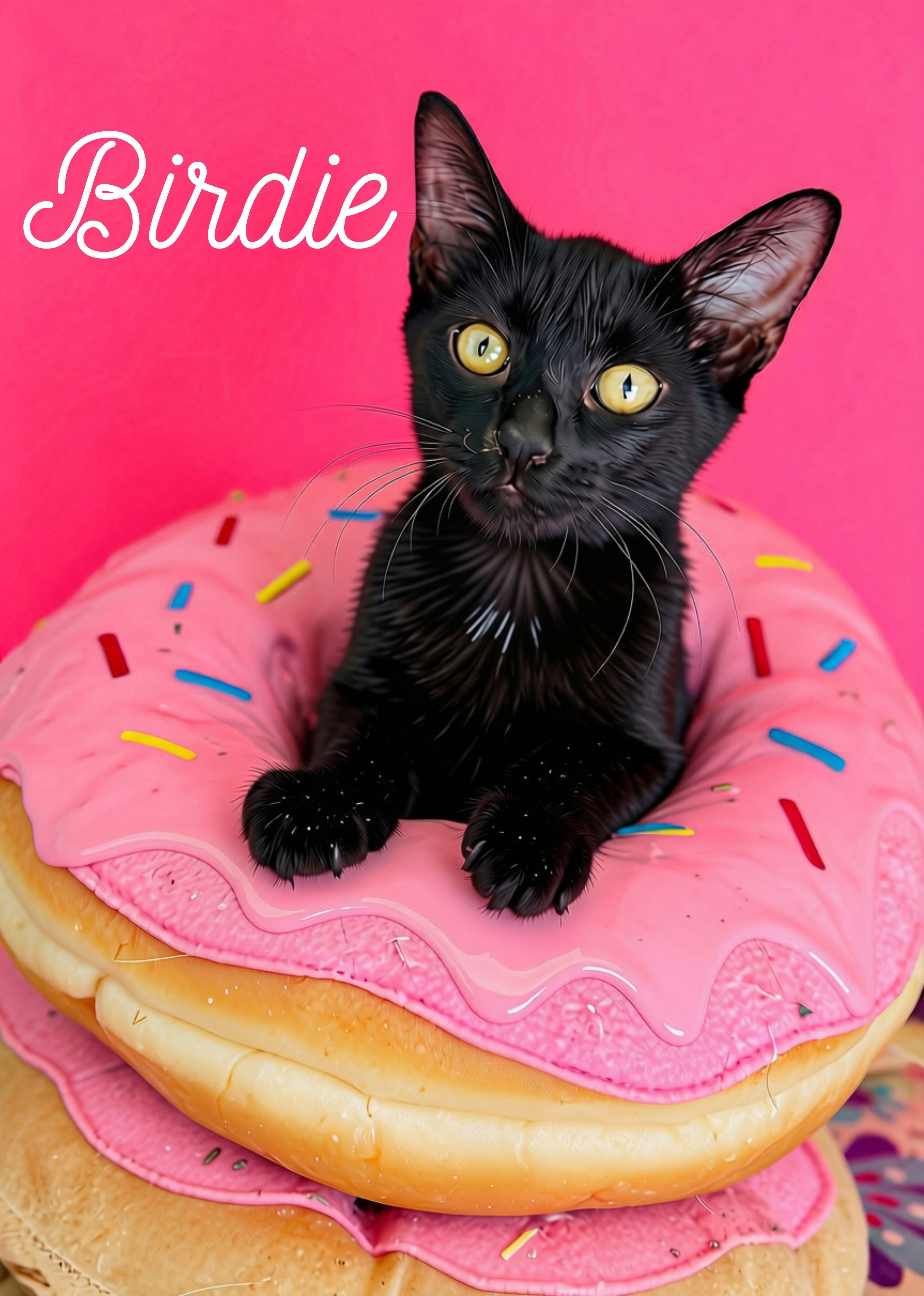 A baby medium-sized female Black Domestic Short Hair cat named Birdie for adoption in Keller, TX
