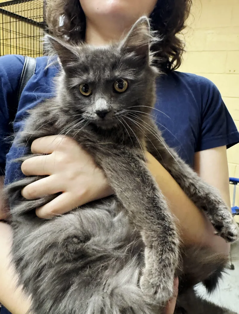 Jeanette thumbnail 3