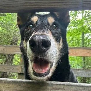 Axel in Maine thumbnail 2