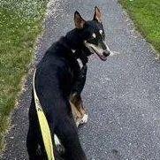 Axel in Maine thumbnail 3
