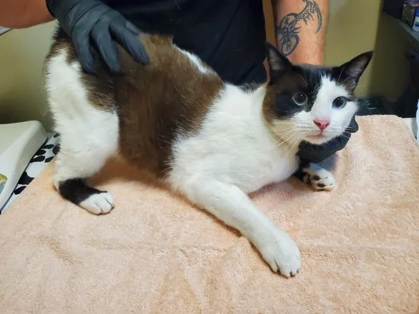 Winchester thumbnail 3