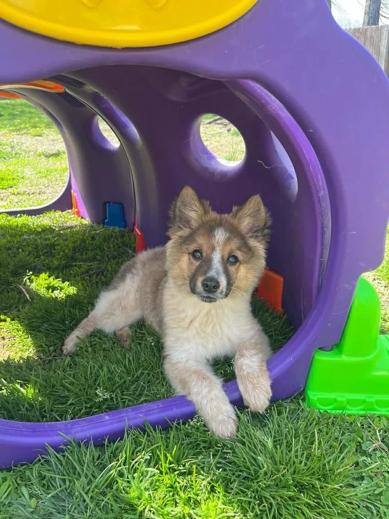 Fletcher thumbnail 4