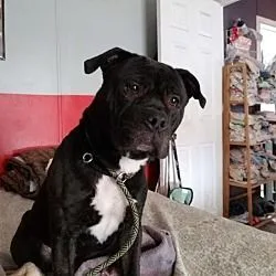 Michonne thumbnail 2