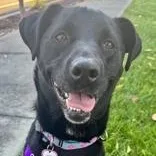 Maze thumbnail 2