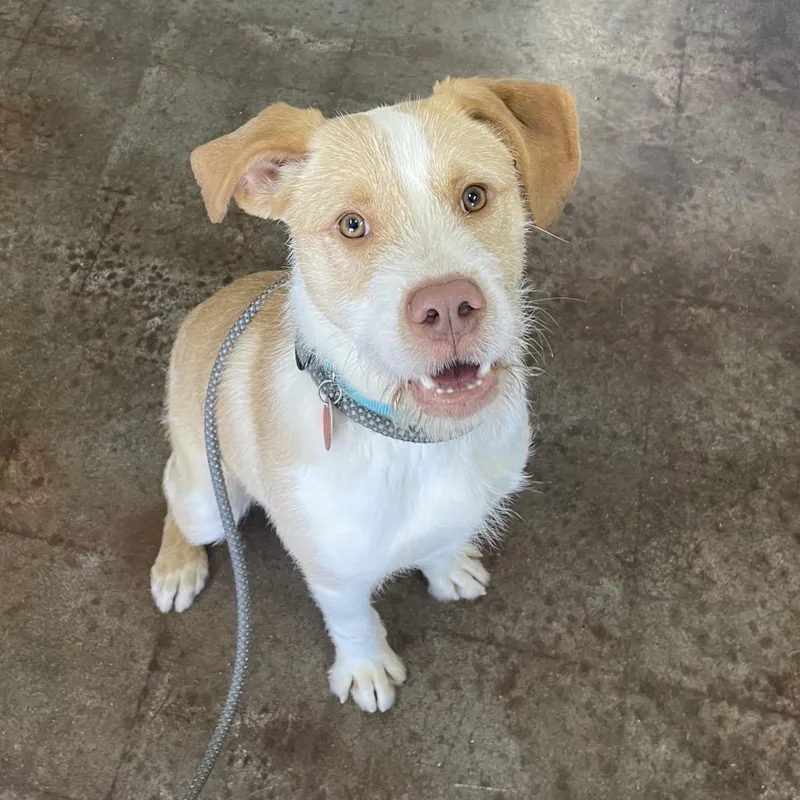 Sebastian thumbnail 2