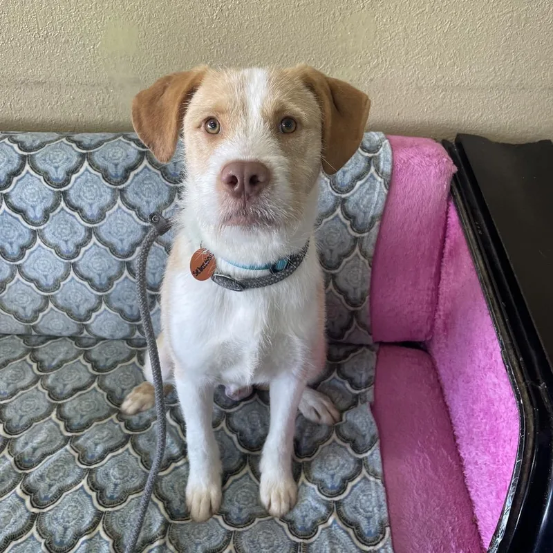 Sebastian thumbnail 6