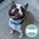 Jackson Phoenix thumbnail 3