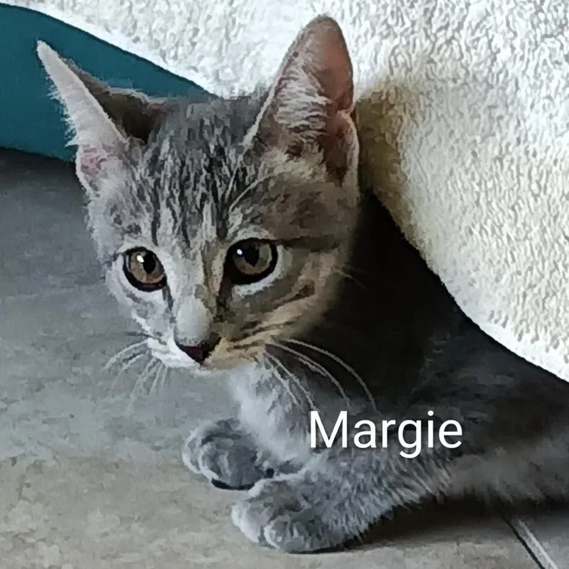 Margie thumbnail 3