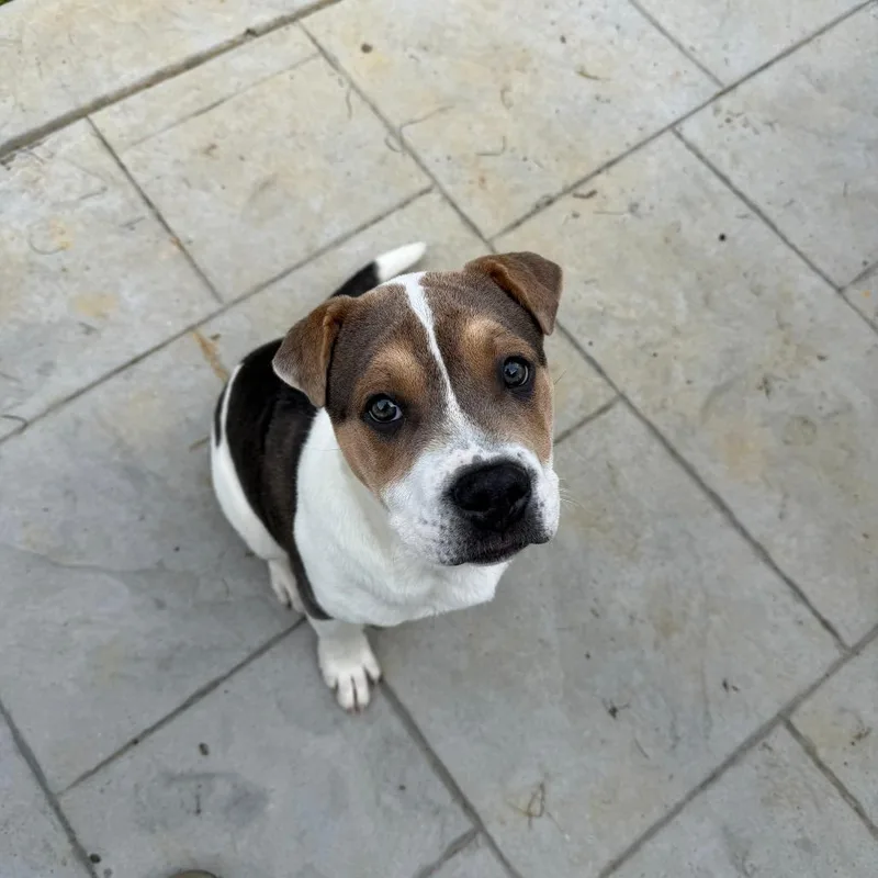 Wrinkles thumbnail 3