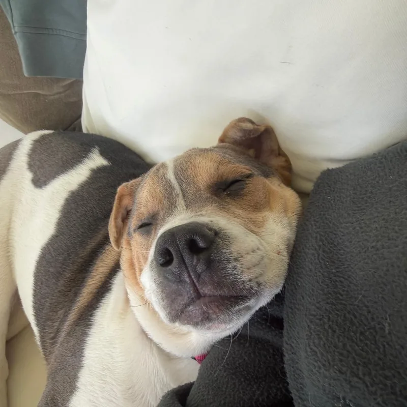 Wrinkles thumbnail 4