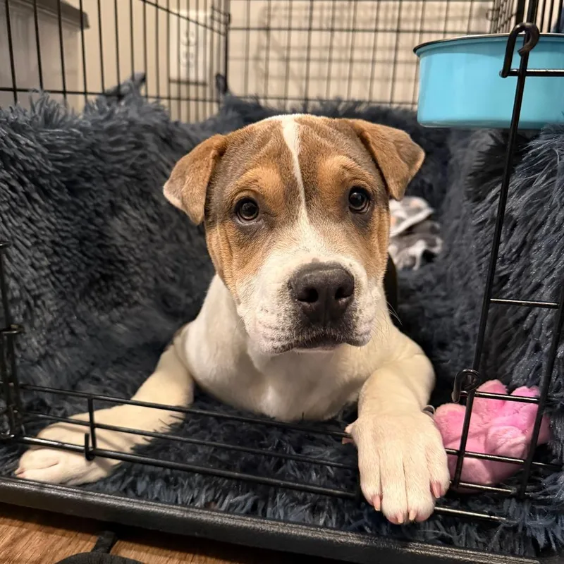 Wrinkles thumbnail 5