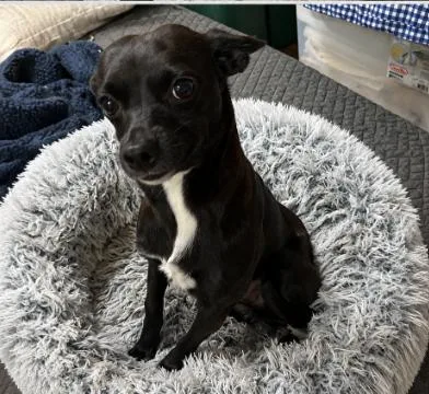 Izzy in TX thumbnail 2