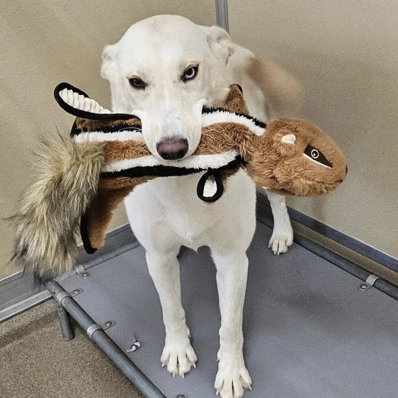 Spice thumbnail 2