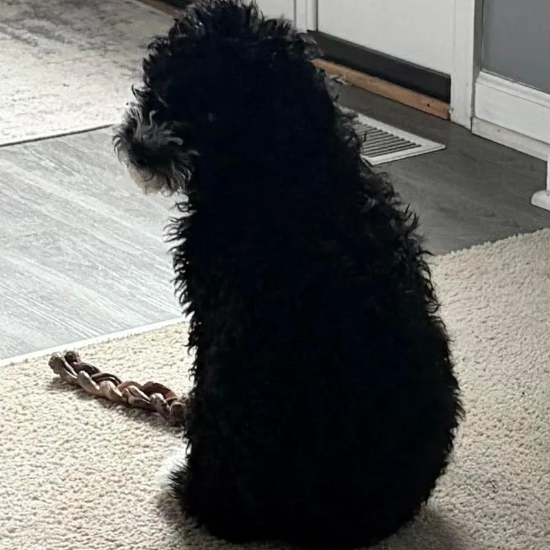 Lucy Lou thumbnail 2