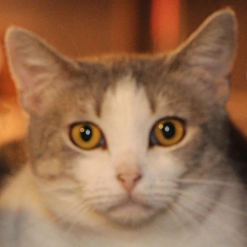 Carley thumbnail 4