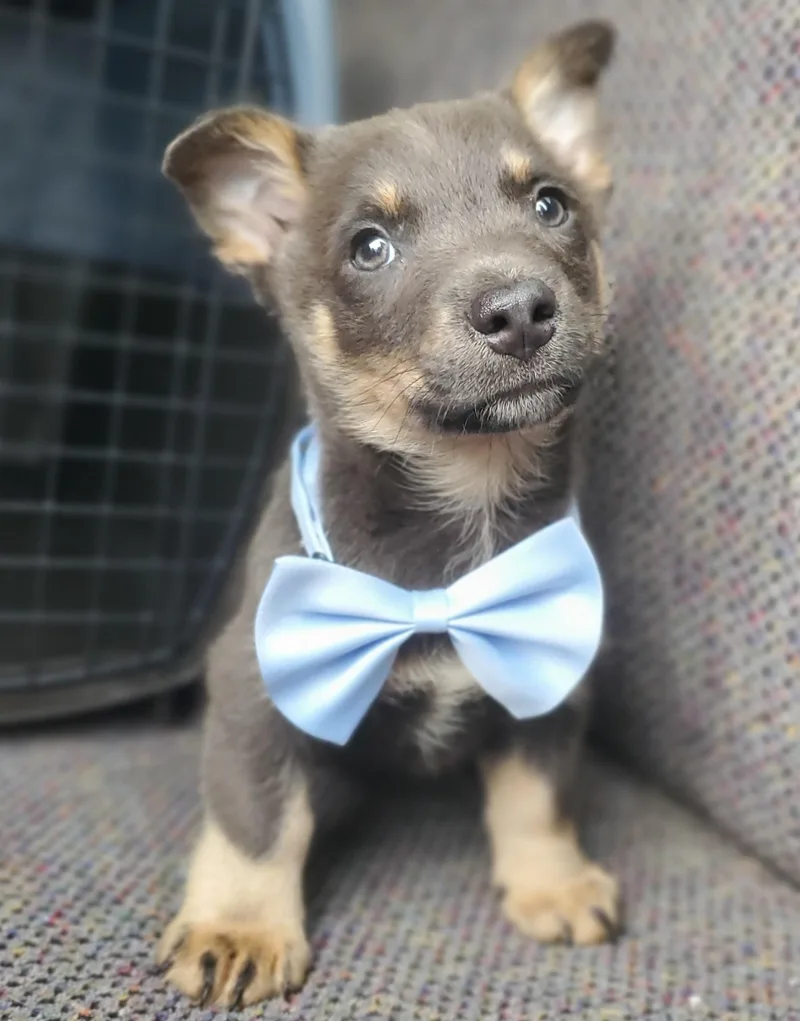 Tucker