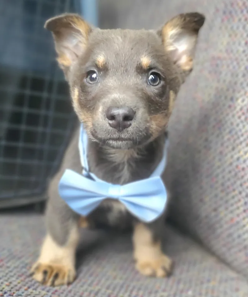 Tucker thumbnail 5