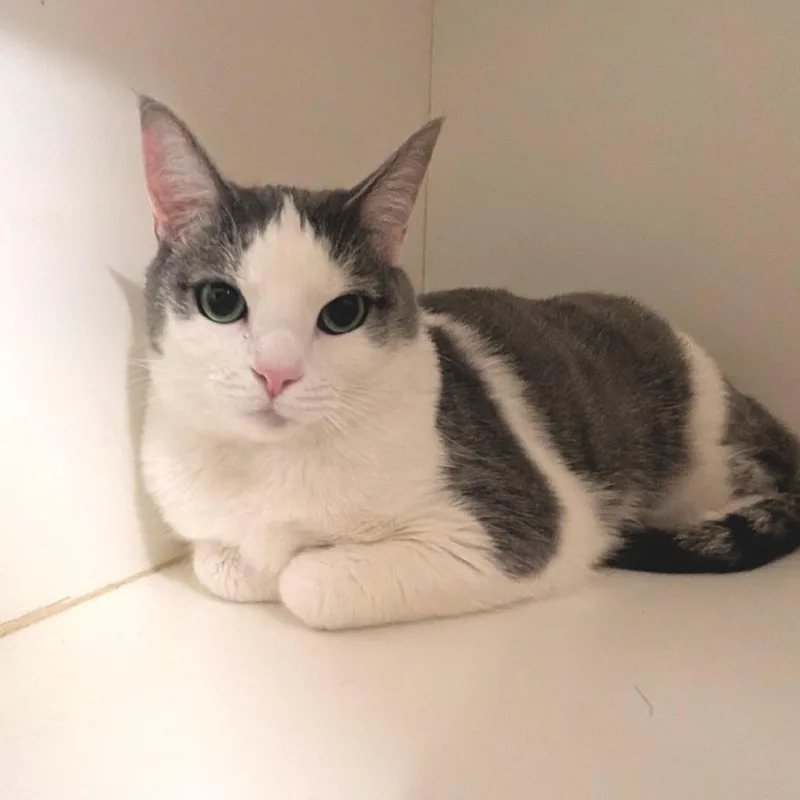 Mars  Costa Mesa thumbnail 2