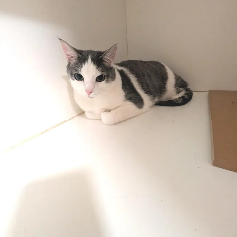 Mars  Costa Mesa thumbnail 3