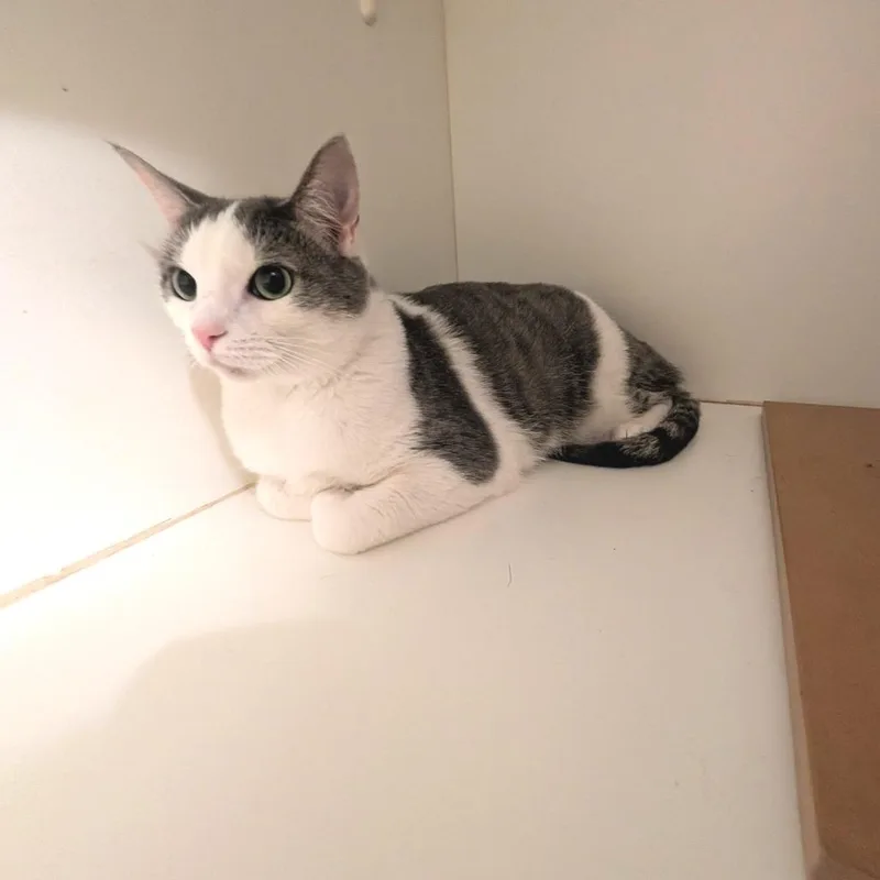 Mars  Costa Mesa thumbnail 5