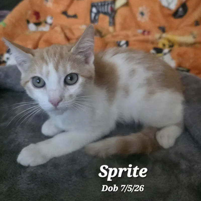 Sprite thumbnail 2