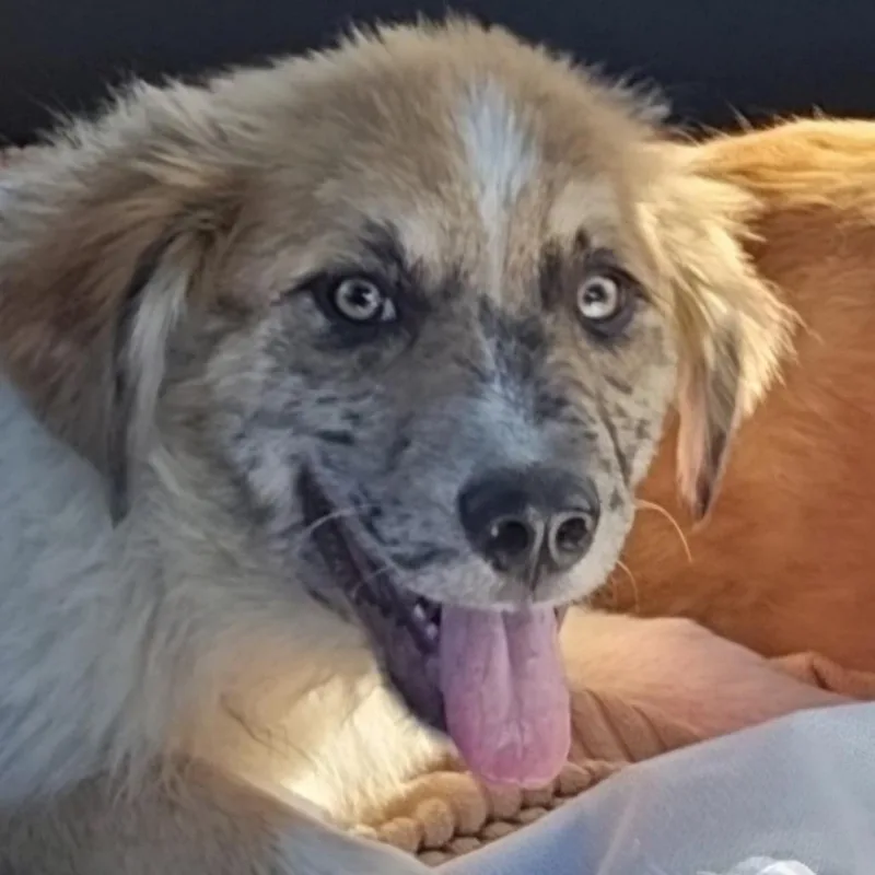 Freckles thumbnail 2