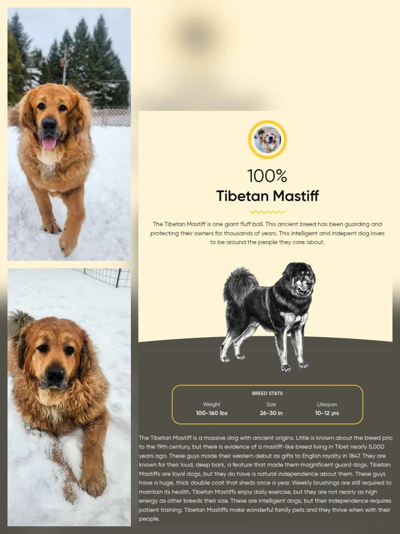 Hudson thumbnail 2