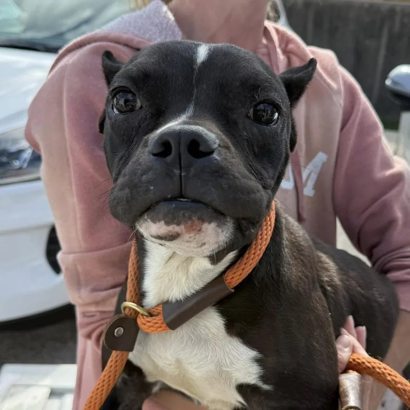 Folklore thumbnail 2