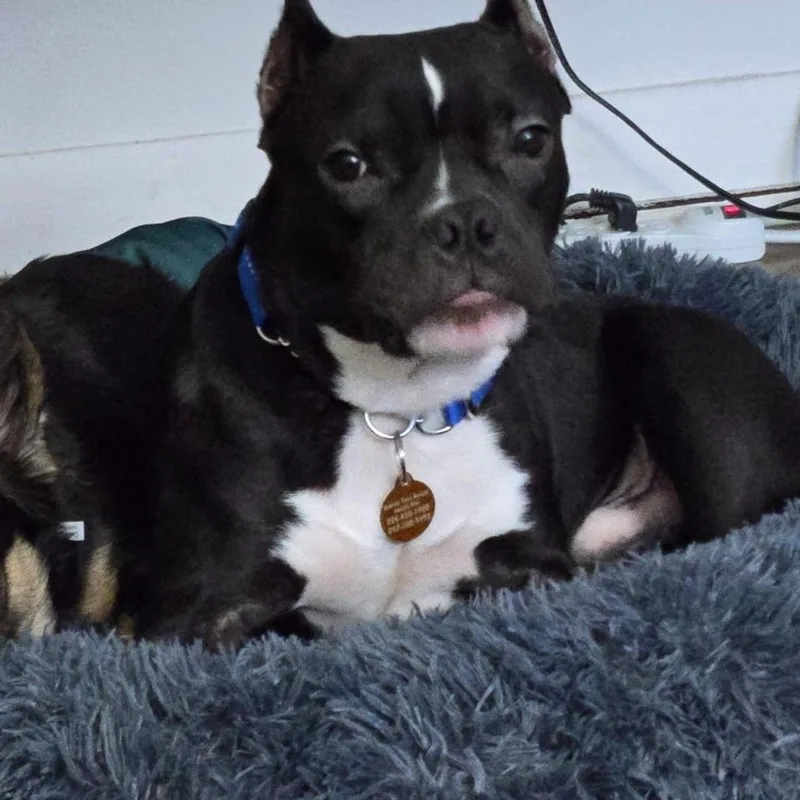 Folklore thumbnail 3