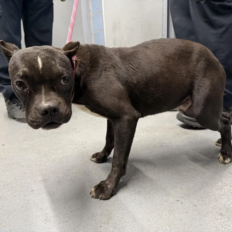 Folklore thumbnail 5