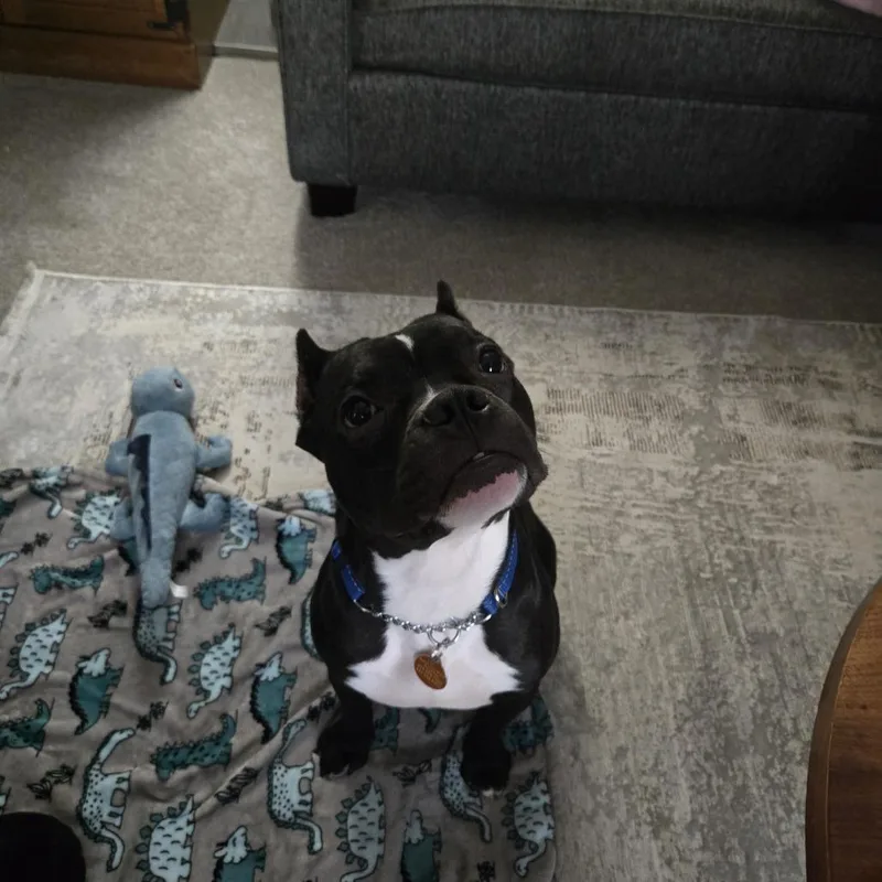 Folklore thumbnail 6