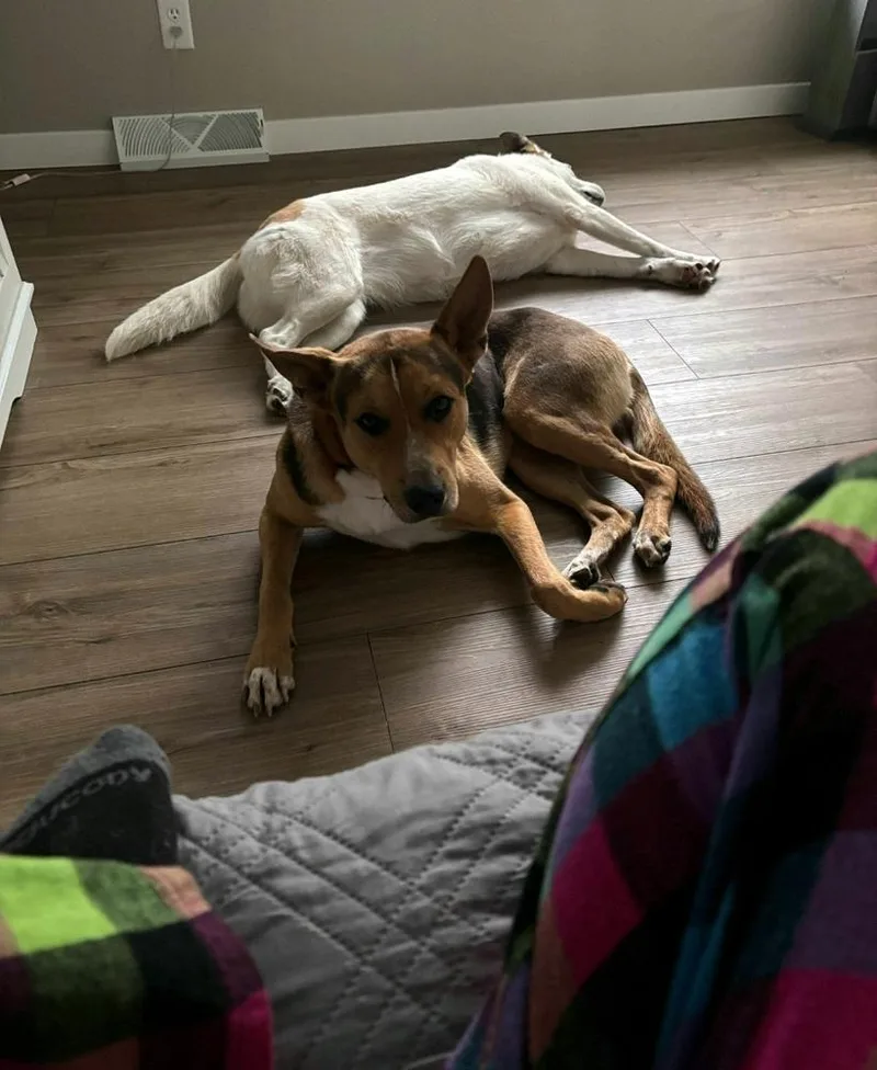 Buster V thumbnail 2