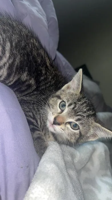 Pip & Mochi