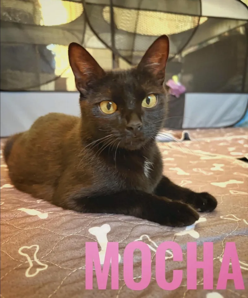 Mocha Reilly thumbnail 2