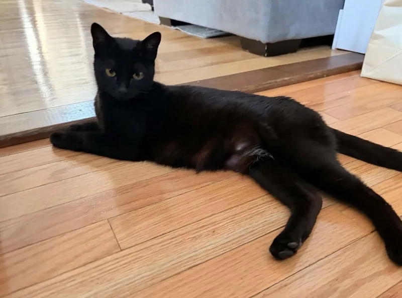 Mocha Reilly thumbnail 3