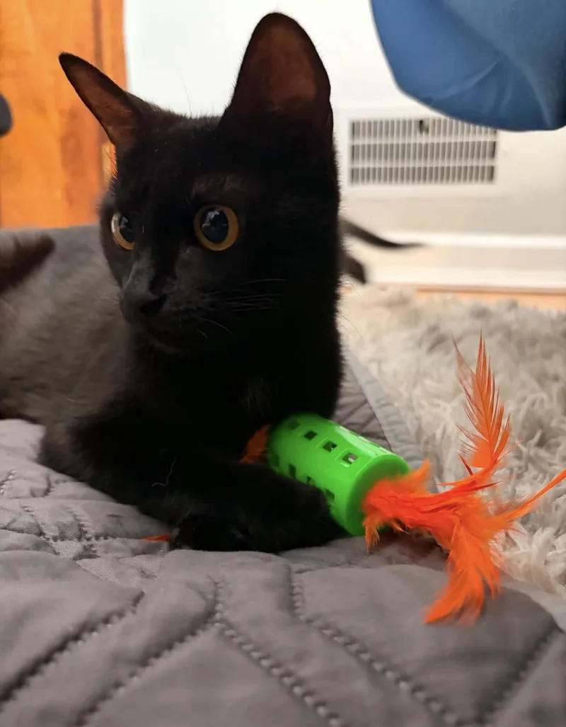 Mocha Reilly thumbnail 6