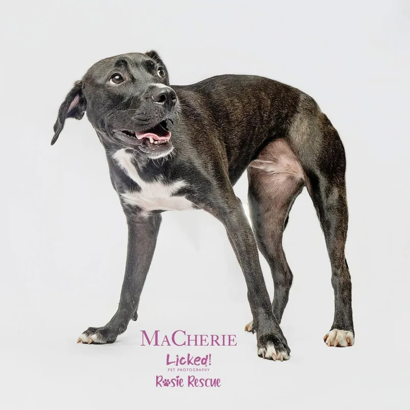 Macherie thumbnail 2