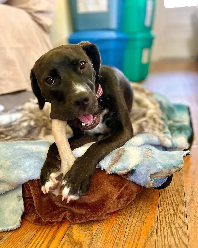 Macherie thumbnail 5