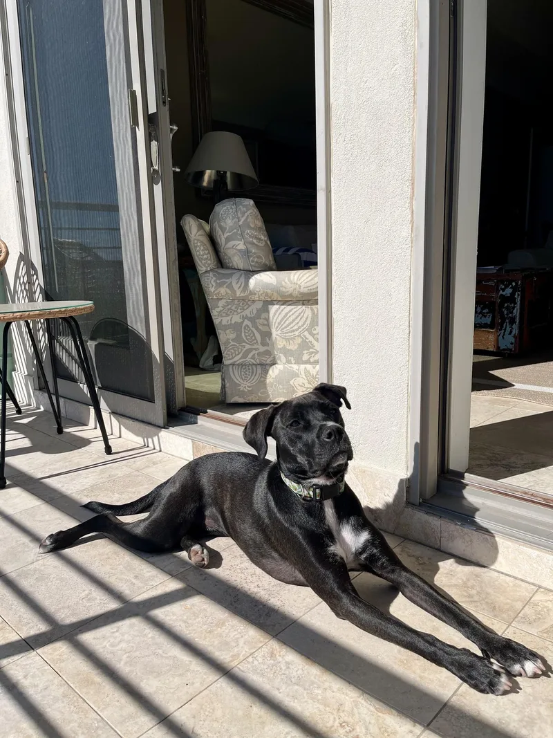 Macherie thumbnail 6